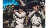 Serenata norte